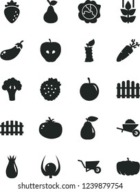 Solid Black Vector Icon Set - garden trolley vector, building, fence, hedge, tomato, carrot, strawberries, pear, mint, squash, tasty apple, raspberry, rose hip, plum, physalis, stub, broccoli