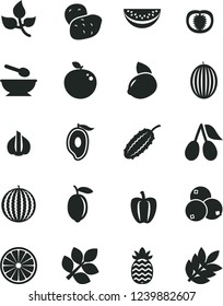 Solid Black Vector Icon Set - deep plate with a spoon vector, cornels, blueberries, melon, water, half of mango, slice, lemon, yellow, orange, delicious apple, pineapple, tomato, Bell pepper, garlic