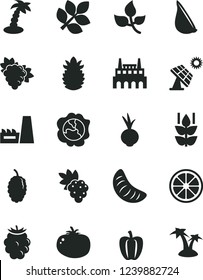 Solid Black Vector Icon Set - tomato vector, beet, garlic, mint, grape, branch of, squash, blackberry, mulberry, slice tangerine, juicy lemon, ripe pineapple, Bell pepper, big solar panel, leaves