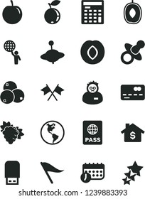 Solid Black Vector Icon Set - wind direction indicator vector, dummy, yule, passport, branch of grape, plum, blueberry, blueberries, delicious, tasty, planet Earth, front the bank card, schedule