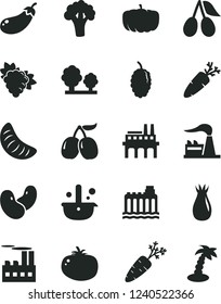 Solid Black Vector Icon Set - tomato vector, carrot, branch of grape, rose hip, cornels, mulberry, tasty, slice tangerine, beans, broccoli, eggplant, pumpkin, factory, hydroelectricity, trees