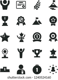 Solid Black Vector Icon Set - star vector, medal, laurel branch, pedestal, prize, award, cup, reward, man hands up, with, motivation, mountain flag, first place, ribbon, certificate, stars around