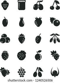 Solid Black Vector Icon Set - jam vector, blueberries, strawberry, strawberries, cherry, grape, branch of, large, raspberry, rose hip, cornels, tasty, blueberry, mulberry, goji berry, physalis
