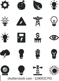 Solid Black Vector Icon Set - matte light bulb vector, incandescent lamp, dangers, eye, storm cloud, lens, leaf, power pole, energy saving, lighthouse, electricity, flag on moon, dollar column, sun