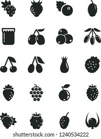Solid Black Vector Icon Set - jam vector, blueberries, strawberries, cherry, grape, branch of, large, raspberry, strawberry, rose hip, cornels, blackberry, tasty, blueberry, mulberry, goji berry