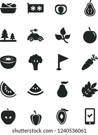 Solid Black Vector Icon Set - pennant vector, lettuce in a plate, carrot, tasty apple, slice of water melon, half mango, plum, kiwi, ripe guava, part, tomato, pepper, broccoli, leaves, forest