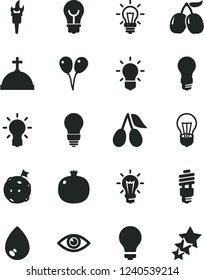 Solid Black Vector Icon Set - matte light bulb vector, colored air balloons, eye, drop, pomegranate, cornels, tasty, energy saving, flame torch, flag on moon, crown with cross, three stars