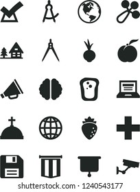 Solid Black Vector Icon Set - floppy disk vector, laptop, horn, plus, baby rattle, earth, beet, sandwich, ripe peach, raspberry, brain, drawing compass, presentation board, pennant flag, confirm