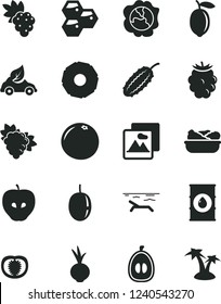 Solid Black Vector Icon Set - picture vector, lettuce in a plate, beet, honeycombs, grape, branch of, squash, tasty apple, blackberry, half loquat, passion fruit, lemon, slice pineapple, grapefruit