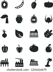 Solid Black Vector Icon Set - tomato vector, beet, blackberry, tasty mulberry, delicious plum, half loquat, guava, physalis, Bell pepper, ripe, peas, pumpkin, leaf, manufacture, hydroelectricity