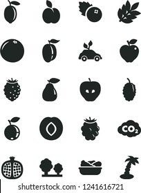 Solid Black Vector Icon Set - lettuce in a plate vector, blueberries, apple, half pomegranate, pear, red, tasty, plum, blackberry, raspberry, blueberry, mulberry, ripe, lemon, grapefruit, trees