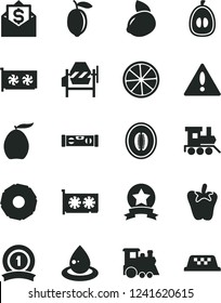 Solid Black Vector Icon Set - warning vector, baby toy train, children's, concrete mixer, building level, peper, loquat, half melon, lemon, yellow, slice of, pineapple, drop oil, gpu card, star