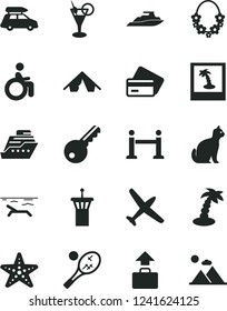 Solid Black Vector Icon Set - Plane Vector, Car Baggage, Airport Tower, Rope Barrier, Credit Card, Tent, Beach, Palm Tree, Hawaii Wreath, Cocktail, Starfish, Disabled, Photo, Tennis, Pets, Key