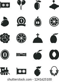 Solid Black Vector Icon Set - baby toy train vector, yule, colored air balloons, building level, ripe peach, squash, quince, loquat, half, melon, lemon, yellow, juicy, slice of, gpu card