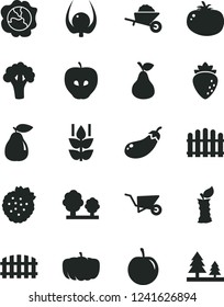 Solid Black Vector Icon Set - garden trolley vector, building, fence, hedge, tomato, strawberries, pear, mint, squash, tasty apple, raspberry, plum, physalis, stub, broccoli, eggplant, pumpkin