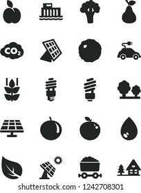 Solid Black Vector Icon Set - saving light bulb vector, drop, cabbage, apple, pear, mint, tangerine, delicious, broccoli, solar panel, big, leaf, hydroelectric station, trees, energy, electric car