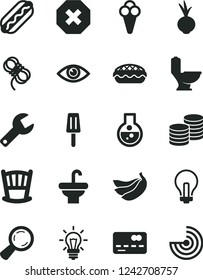 Solid Black Vector Icon Set - repair key vector, incandescent lamp, mark of injury, cradle, washbasin, toilet, hawser, eye, coins, Hot Dog, apple pie, beet, popsicle, cone, bananas, magnifier, flask