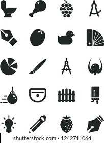 Solid Black Vector Icon Set - tassel vector, graphite pencil, baby duckling, big core, color samples, sink, toilet, hedge, electronic boiler, chicken leg, large grape, tasty raspberry, coconut, bulb