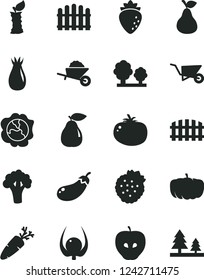 Solid Black Vector Icon Set - garden trolley vector, building, fence, hedge, tomato, carrot, strawberries, pear, squash, tasty apple, raspberry, rose hip, physalis, stub, broccoli, eggplant, pumpkin