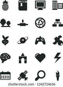 Solid Black Vector Icon Set - lightning vector, monitor window, book, box of bricks, city block, heart, flowchart, pineapple, beet, trees, calendar, network, connect, magnifier, joystick, brain