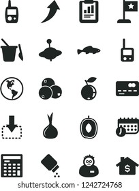 Solid Black Vector Icon Set - baby powder vector, toy phone, mobile, children's sand set, yule, move down, small fish, blueberry, blueberries, delicious plum, onion, planet Earth, statistical report