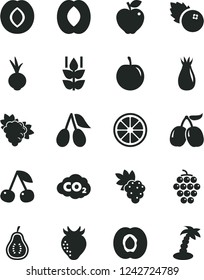 Solid Black Vector Icon Set - beet vector, blueberries, mint, cherry, half apricot, grape, branch of, large, red apple, plum, strawberry, rose hip, cornels, tasty, peach, juicy lemon, part guava