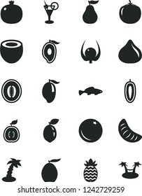 Solid Black Vector Icon Set - small fish vector, orange, pomegranate, fig, mango, half of, loquat, melon, slice tangerine, sweet date fruit, sour lime, guawa, coconut, pineapple, ripe guava, hammok