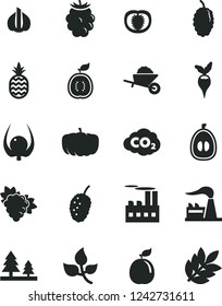 Solid Black Vector Icon Set - garden trolley vector, a pineapple, branch of grape, blackberry, mulberry, tasty, half loquat, guava, guawa, physalis, tomato, garlic, radish, pumpkin, leaves, factory