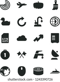 Solid Black Vector Icon Set - growth up vector, clockwise, rubber duck, wooden paint brush, faucet mixer, kitchen, canned goods, pumpkin, satellite antenna, SIM, mouse, cloud, radar, earth core