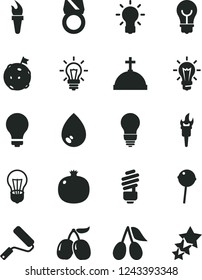 Solid Black Vector Icon Set - matte light bulb vector, new roller, saving, drop, Chupa Chups, pomegranate, cornels, tasty, flame torch, flag on moon, gold ring, crown with cross, three stars