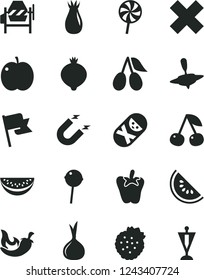 Solid Black Vector Icon Set - cross vector, tumbler, small yule, concrete mixer, flag, chili, peper, Chupa Chups, lollipop, strawberries, cherry, apple, rose hip, cornels, medlar, onion, magnet