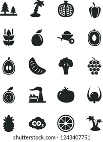 Solid Black Vector Icon Set - garden trolley vector, tomato, mint, half pomegranate, large grape, delicious plum, slice of tangerine, loquat, juicy lemon, guava, guawa, ripe pineapple, physalis