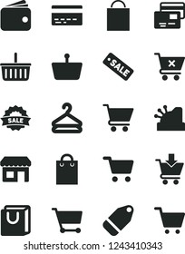 Solid Black Vector Icon Set - paper bag vector, grocery basket, bank card, cart, put in, crossed, with handles, cards, hanger, label, kiosk, shopping, wallet, cashbox, season sale