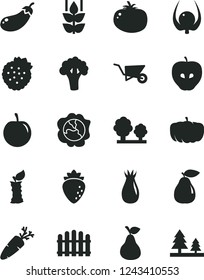 Solid Black Vector Icon Set - building trolley vector, hedge, tomato, carrot, strawberries, pear, mint, squash, tasty apple, raspberry, rose hip, plum, physalis, stub, broccoli, eggplant, pumpkin