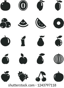 Solid Black Vector Icon Set - apple vector, orange slice, cherry, pomegranate, branch of grape, pear, red, blueberry, blueberries, water melon, mango, half, tangerine, lemon, guava, pineapple, ripe