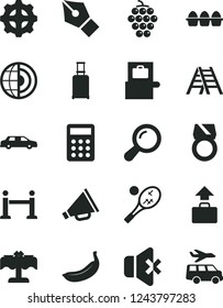 Solid Black Vector Icon Set - horn vector, ladder, no sound, bundle of eggs, large grape, banana, gear, calculator, zoom, earth core, ink pen, gold ring, limousine, rope barrier, rolling suitcase