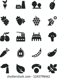 Solid Black Vector Icon Set - carrot vector, grape, branch of, large, tasty mulberry, cornels, half loquat, peas, mashroom, broccoli, eggplant, radish, big solar panel, leaf, manufacture, trees