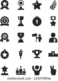 Solid Black Vector Icon Set - star vector, pedestal, flame torch, laurel branch, prize, award, cup, gold, reward, man with medal, hold flag, first place, ribbon, hero, hands up, victory hand