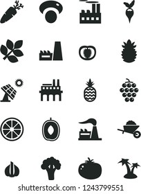 Solid Black Vector Icon Set - garden trolley vector, tomato, carrot, a pineapple, large grape, delicious plum, juicy lemon, ripe, half, garlic, mashroom, broccoli, radish, big solar panel, factory