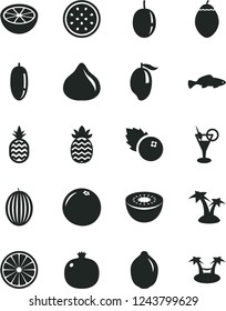 Solid Black Vector Icon Set - small fish vector, blueberries, a pineapple, pomegranate, fig, melon, mango, date fruit, passion, lime, kiwi, half of, tamarillo, orange, grapefruit, palm tree, hammok