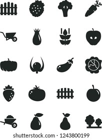 Solid Black Vector Icon Set - garden trolley vector, building, fence, hedge, tomato, carrot, strawberries, pear, mint, squash, tasty apple, raspberry, rose hip, plum, physalis, broccoli, eggplant