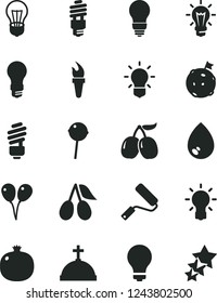 Solid Black Vector Icon Set - matte light bulb vector, colored air balloons, new roller, saving, drop, Chupa Chups, pomegranate, cornels, tasty, energy, flame torch, flag on moon, crown with cross
