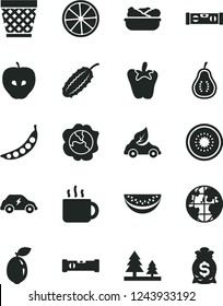 Solid Black Vector Icon Set - wicker pot vector, construction level, building, lettuce in a plate, peper, cup of tea, squash, tasty apple, water melon slice, half kiwi, sour lime, lemon, part guava