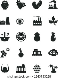 Solid Black Vector Icon Set - beet vector, branch of grape, large, rose hip, blackberry, juicy lemon, ripe pineapple, physalis, half tomato, beans, big solar panel, leaves, factory, hydroelectricity