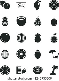 Solid Black Vector Icon Set - blueberries vector, orange, melon, water, mango, passion fruit, half of kiwi, tamarillo, guawa, coconut, ripe pineapple, grapefruit, part guava, hotel, beach, palm tree