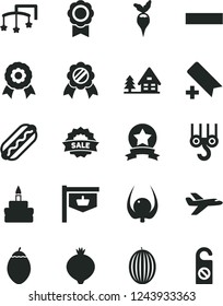 Solid Black Vector Icon Set - add bookmark vector, minus, toys over the cot, winch hook, Hot Dog, birthday cake, medlar, melon, tamarillo, physalis, radish, vintage sign, sale, medal, star ribbon