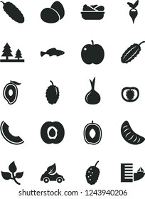 Solid Black Vector Icon Set - eggs vector, lettuce in a plate, cucumber, small fish, apple, half apricot, mulberry, tasty, slice of melon, mango, delicious plum, tangerine, tomato, onion, radish