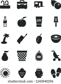 Solid Black Vector Icon Set - wicker pot vector, summer stroller, suitcase, bottle of soda, popsicle, blueberries, strawberry, ripe peach, blackberry, tasty mulberry, half loquat, kiwi, guava, sun