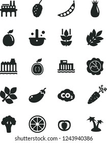 Solid Black Vector Icon Set - mint vector, squash, rose hip, tasty mulberry, juicy lemon, guava, half of guawa, tomato, carrot, peas, broccoli, eggplant, hydroelectric station, hydroelectricity