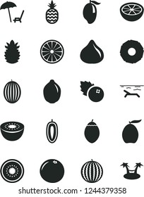 Solid Black Vector Icon Set - blueberries vector, a pineapple, fig, melon, water, mango, loquat, sweet date fruit, lime, kiwi, half of, tamarillo, orange, ripe, slice, grapefruit, beach, palm hammok